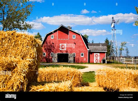 American farm. Things To Know About American farm. 